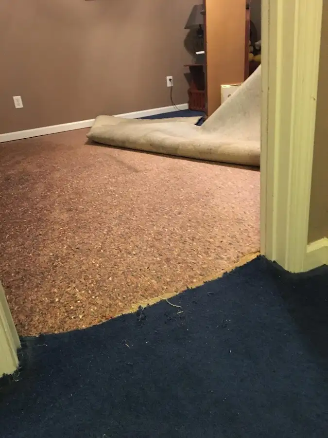 Carpet pad removal revealing water damage during Water Mitigation Services in Northampton