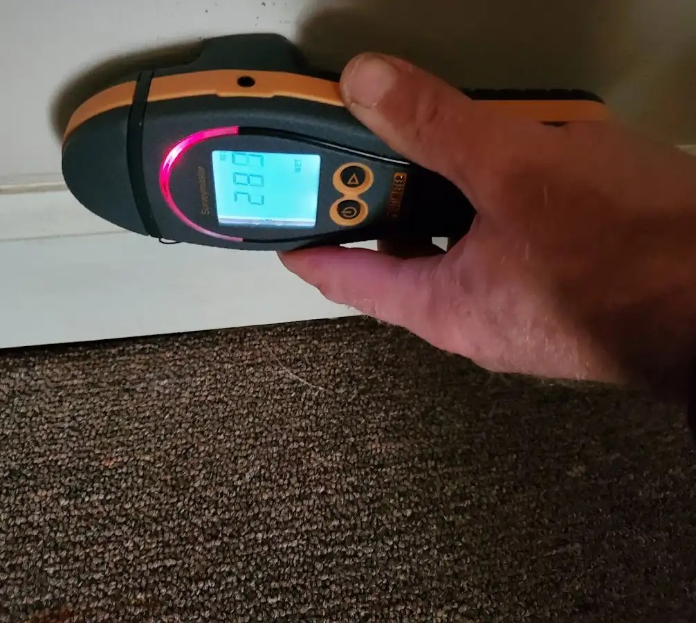 Moisture detection at baseboard during Burst Pipe Cleanup in Northampton